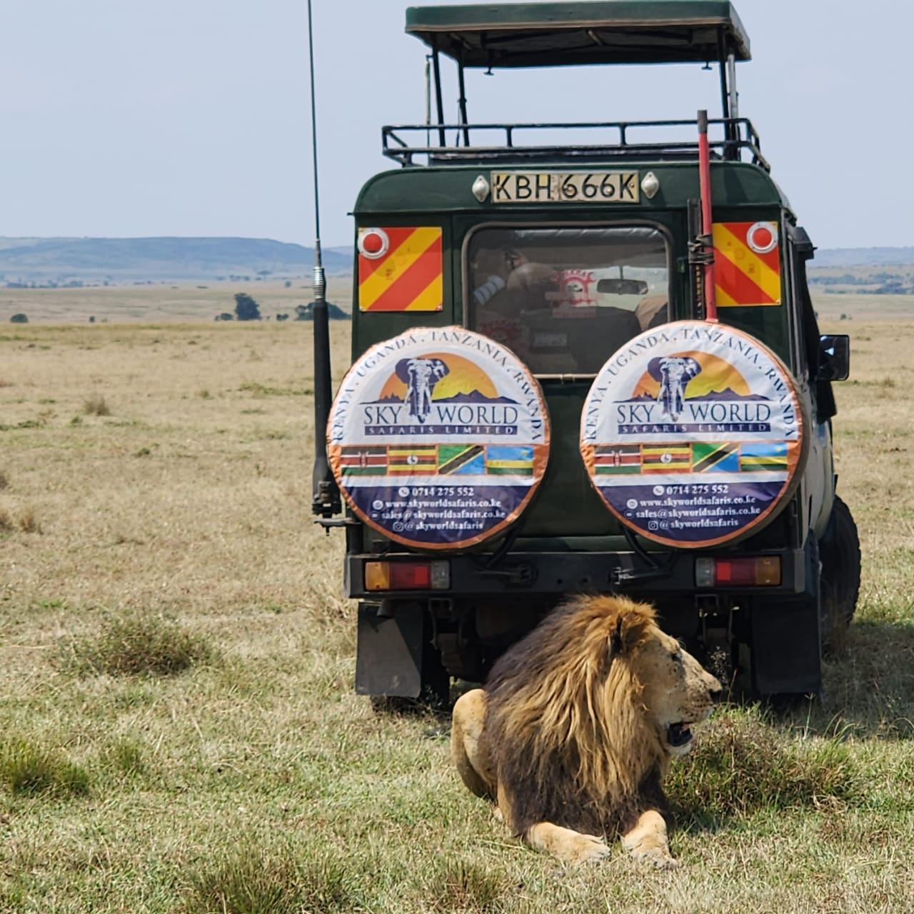 WhatsApp Image 2025-03-12 at 3.01.53 PM (1)